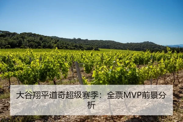 大谷翔平道奇超级赛季：全票MVP前景分析